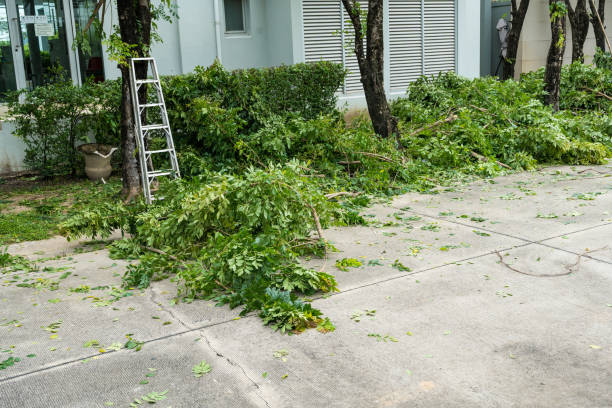 Best Seasonal Cleanup (Spring/Fall)  in Flower Hill, MD